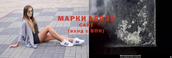 PSILOCYBIN Волосово