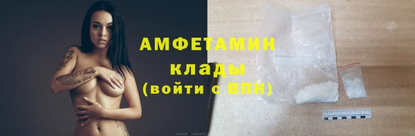 PSILOCYBIN Волосово
