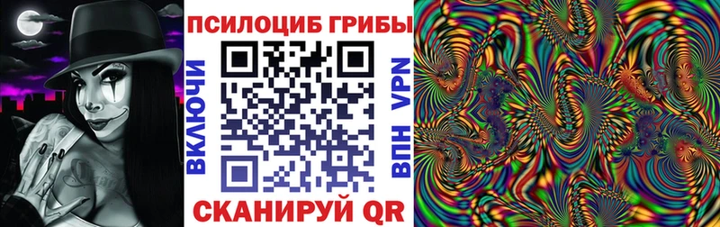 Галлюциногенные грибы Psilocybe Карабулак